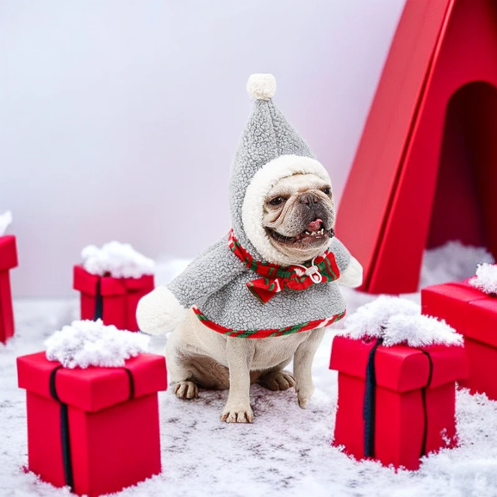 French Bulldog Snowman Christmas Costume