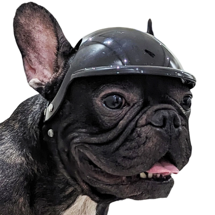French Bulldog Protection Helmet