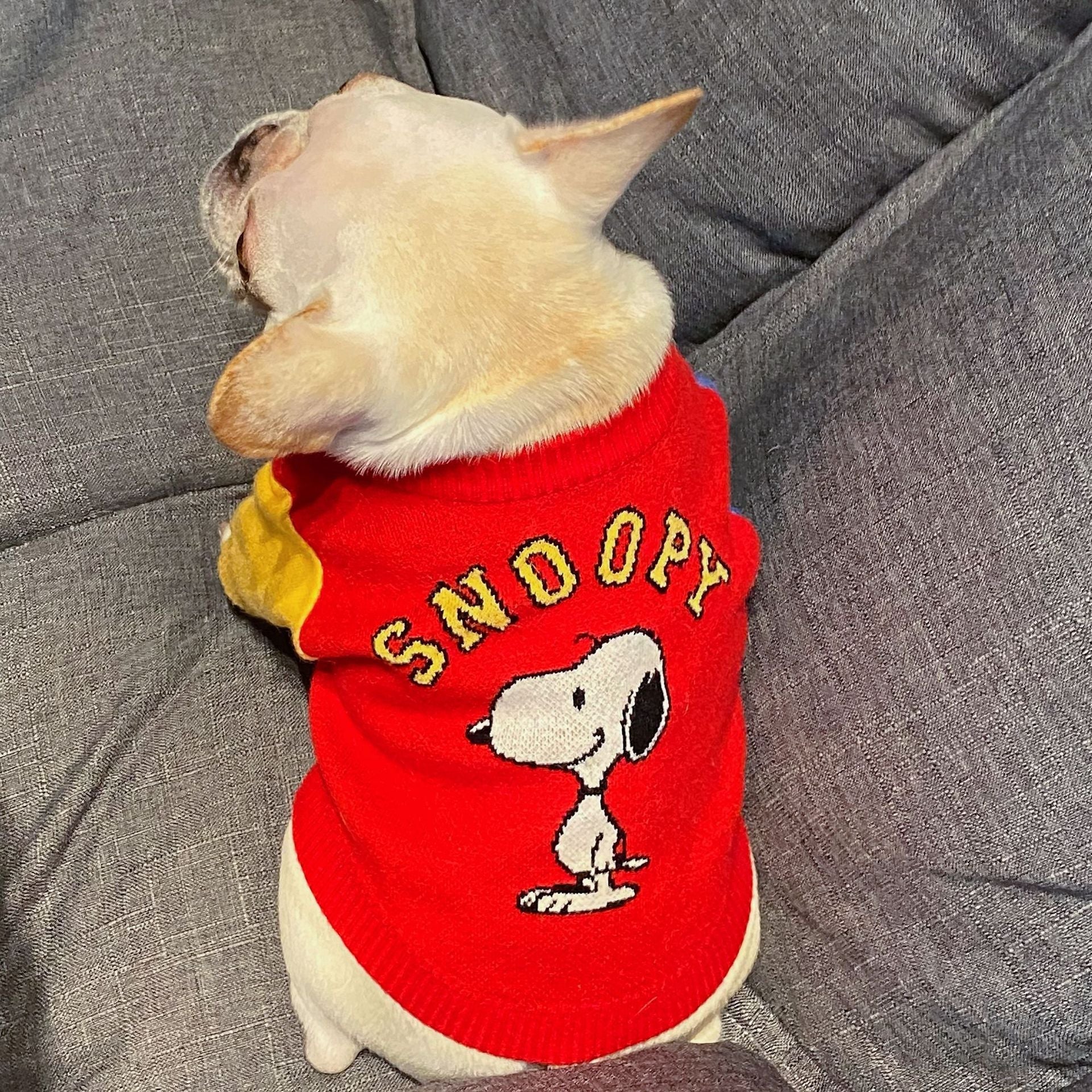 Snoopy French Bulldog Sweater