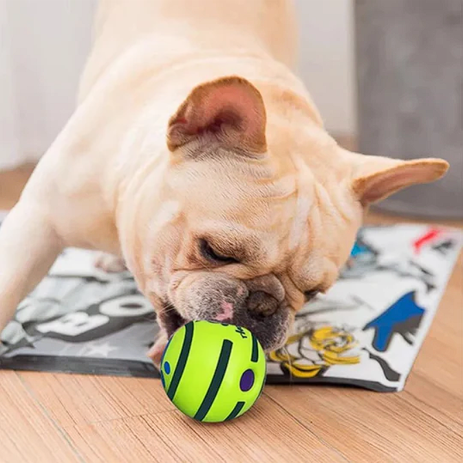 Self Rolling French Bulldog Toy Ball