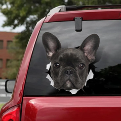 3D Creative French Bulldog Car Stickers