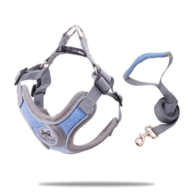 PET Strap Collar and Leash for Small to Medium Dogs
