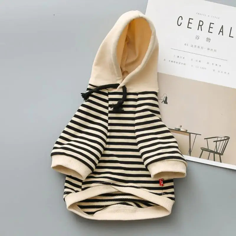 Small Dog Fashion Terry Sweater by Teddy Brand