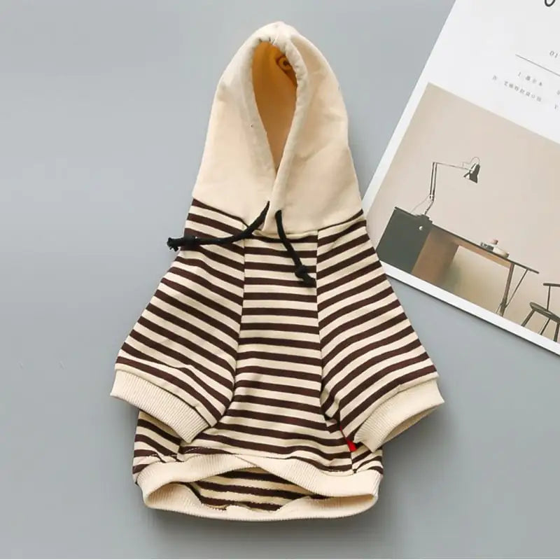 Small Dog Fashion Terry Sweater by Teddy Brand