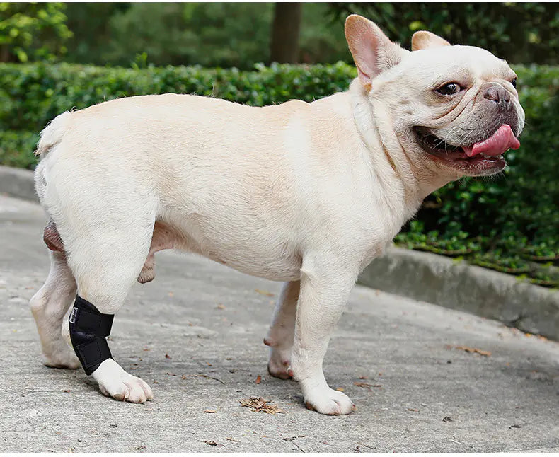 Dog Recovery Anti-Lick Joint Fixation Strap