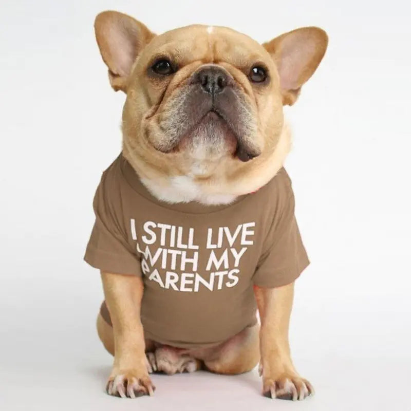 French Bulldog Turtleneck Round Neck T-shirt for Pets