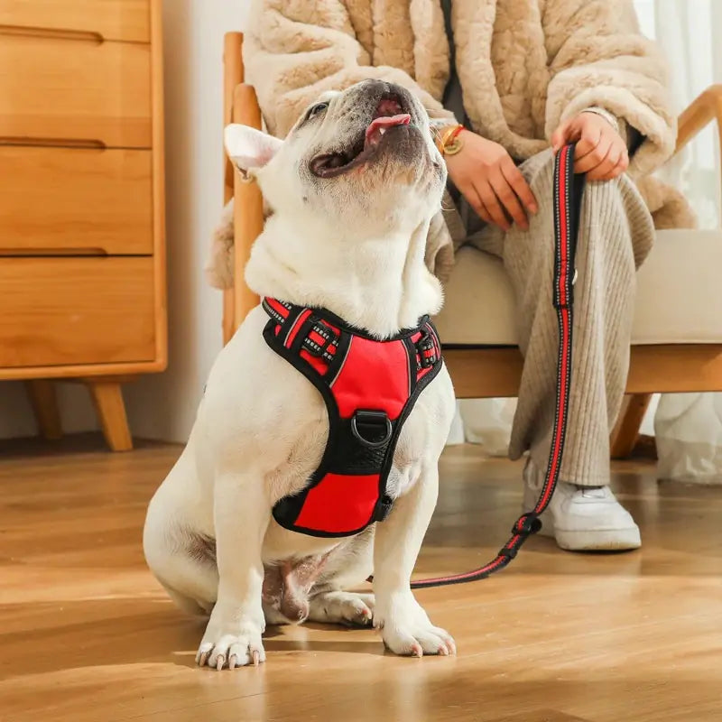 Explosion-Proof Dog Chest Strap Vest