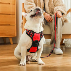 Explosion-Proof Dog Chest Strap Vest