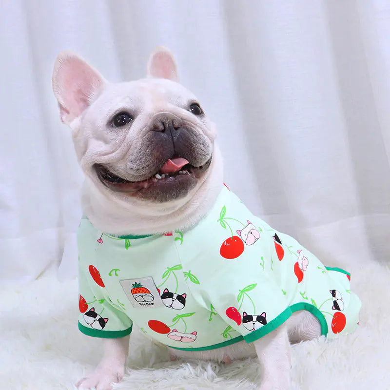 French Bulldog Cashmere Thickened Autumn Winter Clothing