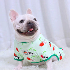 French Bulldog Cashmere Thickened Autumn Winter Clothing