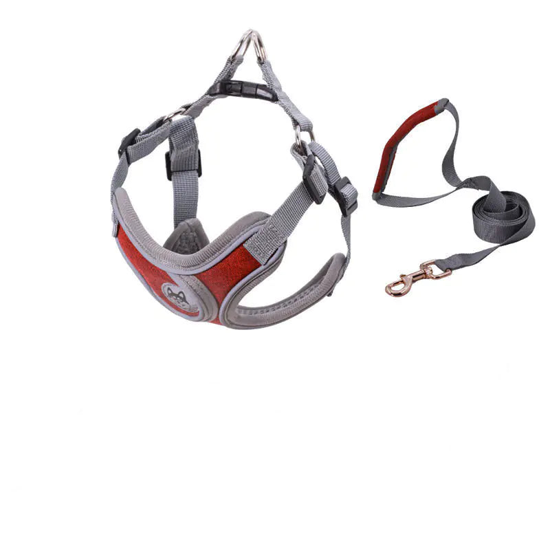 PET Strap Collar and Leash for Small to Medium Dogs