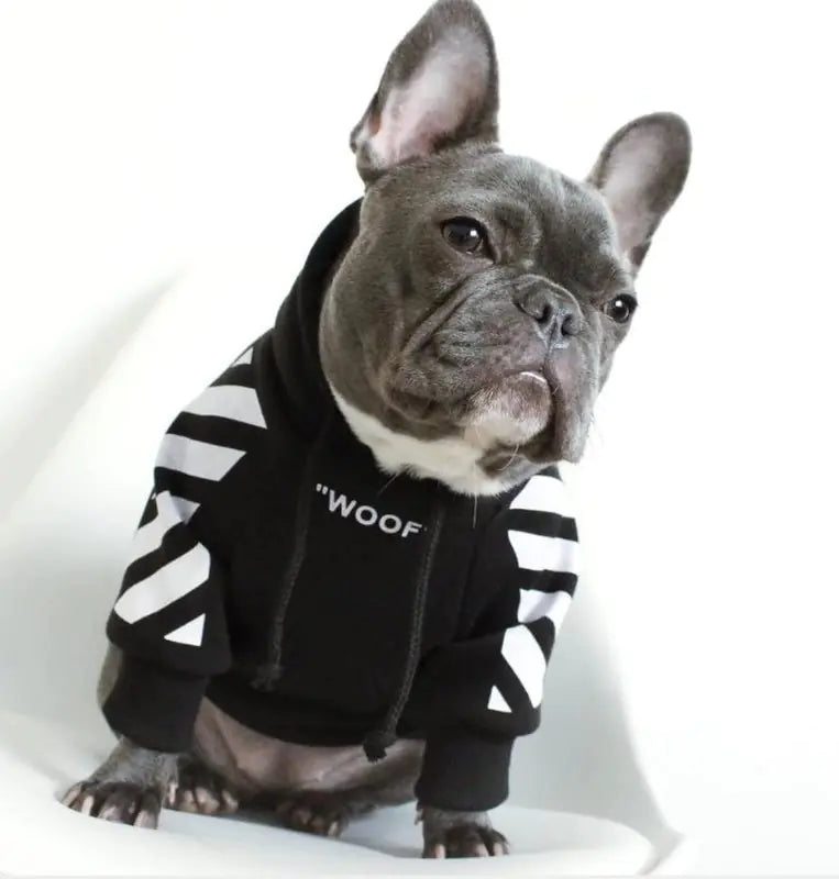 Trendy Fleece Hoodie for Small Dogs (French Bulldog, Pug)