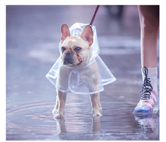 Transparent French Bulldog Raincoat