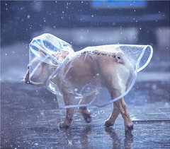 Transparent French Bulldog Raincoat