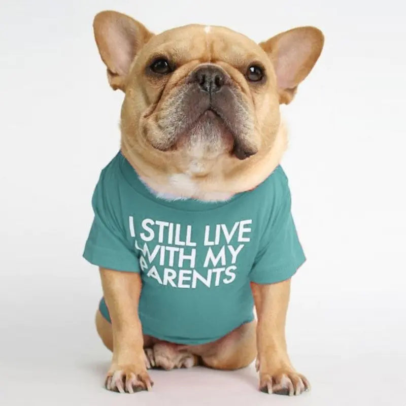 French Bulldog Turtleneck Round Neck T-shirt for Pets