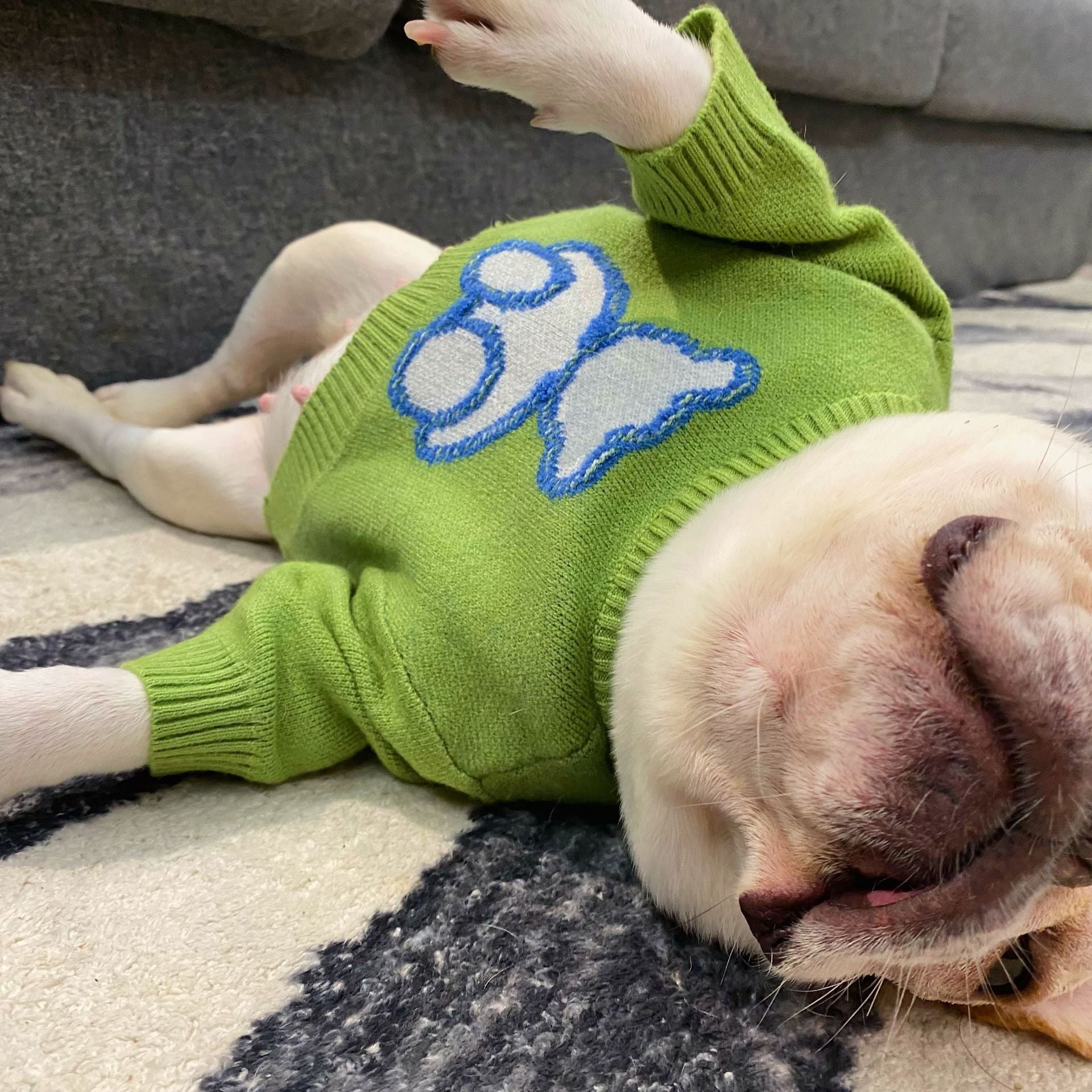 Green Woolen French Bulldog Sweater