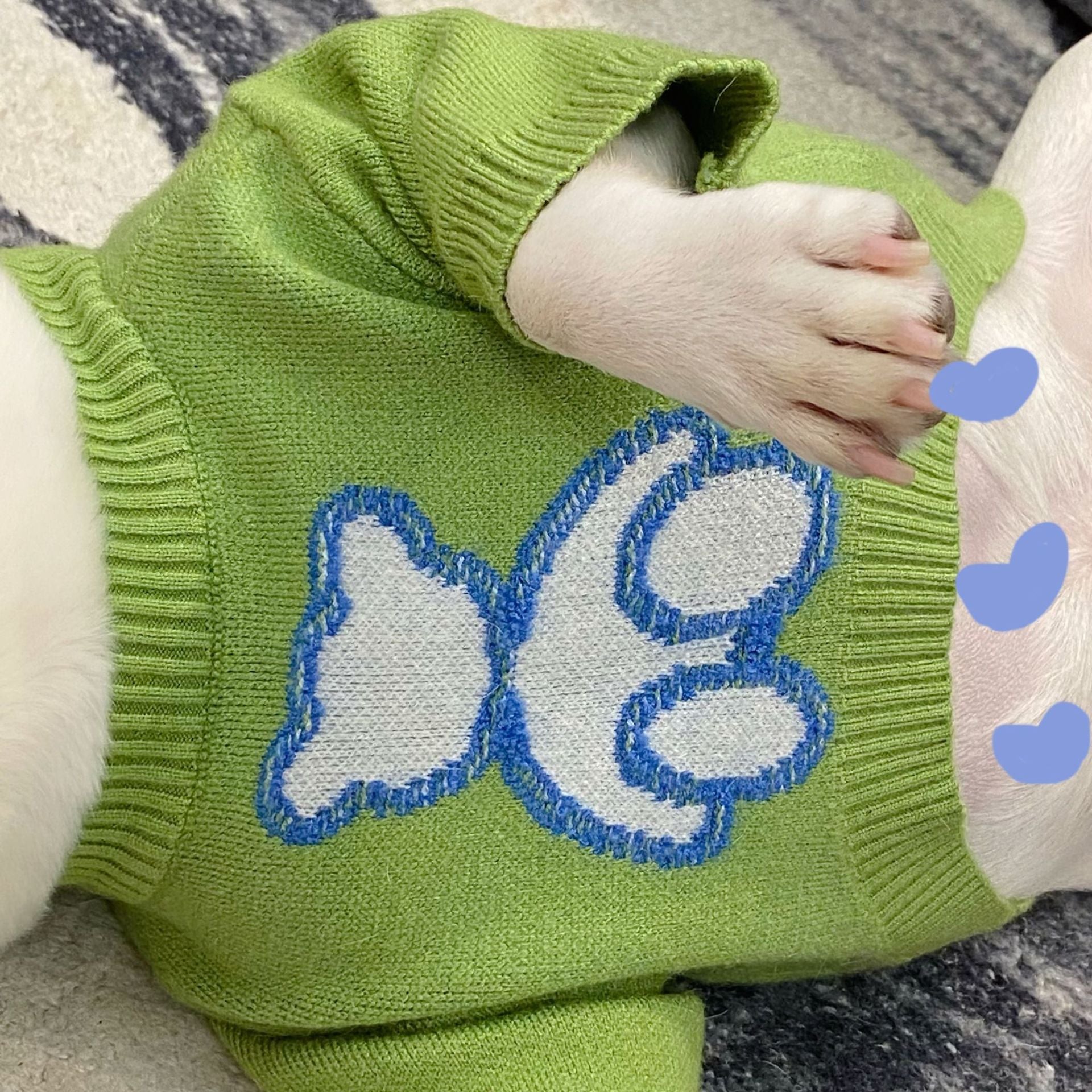 Green Woolen French Bulldog Sweater