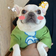 Green Woolen French Bulldog Sweater