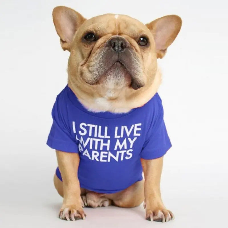 French Bulldog Turtleneck Round Neck T-shirt for Pets