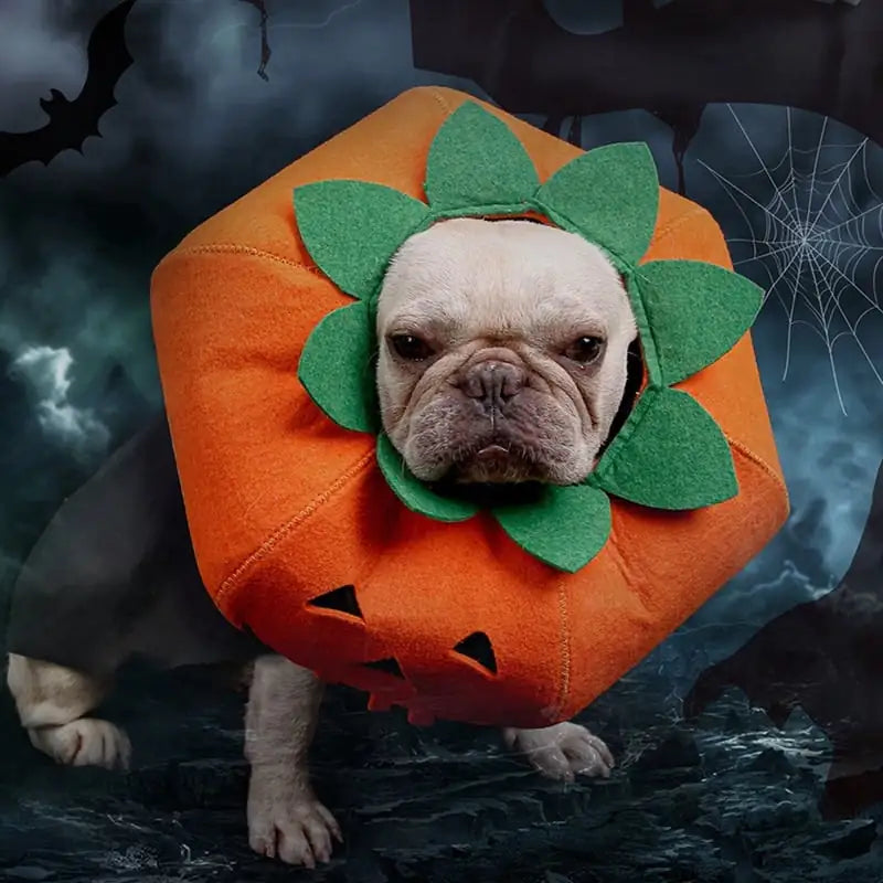 Cute Halloween Pumpkin Collars for Pet Cosplay